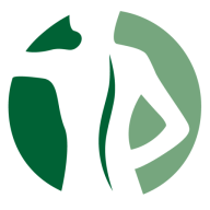 BewegungPlus Physiotherapie